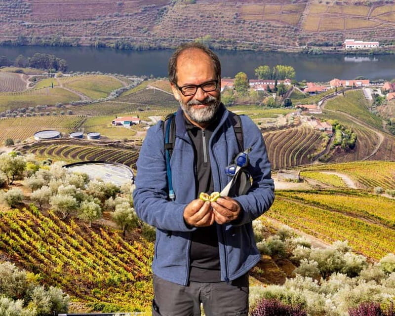 Douro Valley: Provesende and São Cristóvão Guided Hike - Deep Dive into the Details: Why This Tour Works