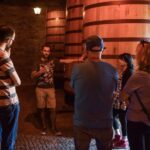 Douro Valley: Quinta do Tedo Wine Experience with Picnic - The Experience’s Strengths