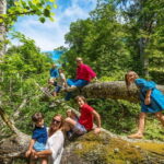 Douro Valley: Walk Through The Vineyards And Woods - Arrival and Access