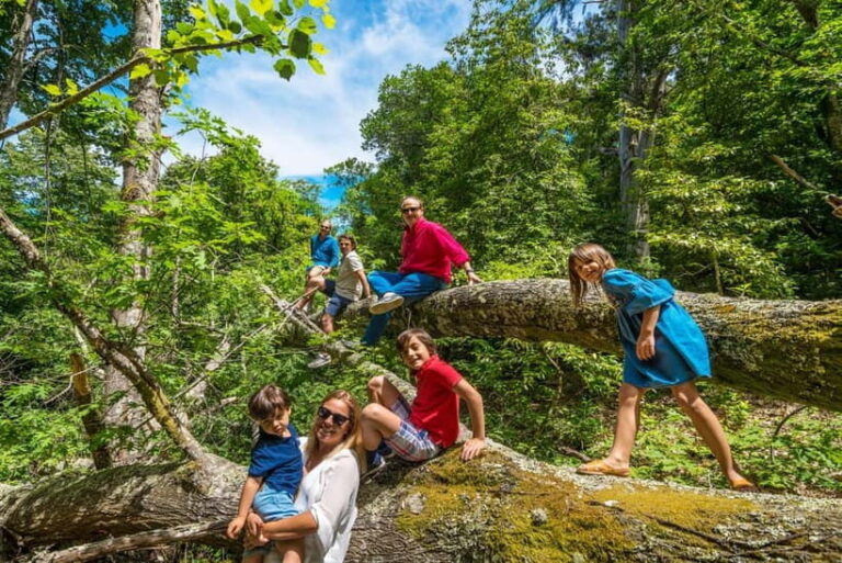 Douro Valley: Walk Through The Vineyards And Woods - Arrival and Access