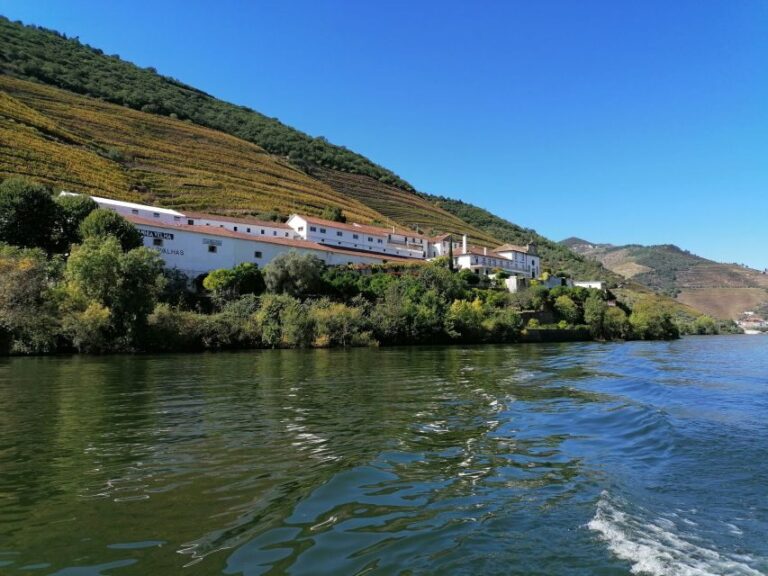 Douro Valley Winery Day Trip with River Cruise - The Journey Begins: Pickup and Transportation