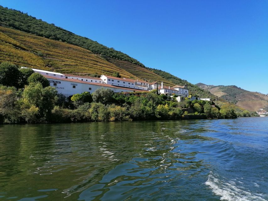 Douro Valley Winery Day Trip with River Cruise - The Journey Begins: Pickup and Transportation