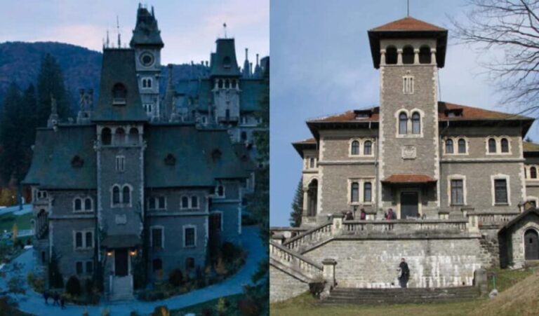 Dracula Castles & Peles, "Wednesday" Day Trip from Bucharest - The Transport & Guide Experience