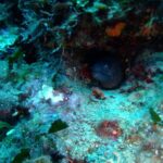 Dubrovnik: 1-Day Diving Package - What’s Included and What’s Not