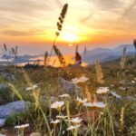 Dubrovnik: Sunset Panorama Tour with Glass of Wine - Why This Tour Works Well