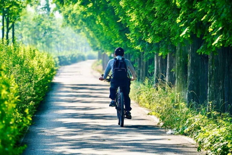 E-Bike Tour from Ventimiglia: Dolceacqua & Rocchetta Rivers - Authentic Insights from Participants