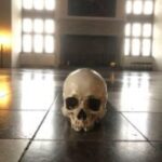 Easy Pace Tour of Kronbog Castle & Frederiksborg Palace W - Why This Tour Offers Value