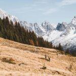 eBike Experience Mont-Blanc, from Chamonix to Courmayeur - Authentic Experiences and Review Insights