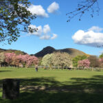 Edinburgh: a Scottish experience for Children in German - The Itinerary Breakdown