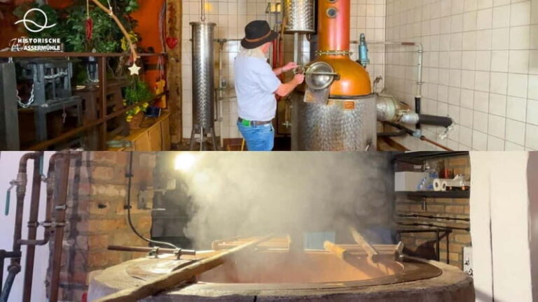 Eifel: Admission to the Birgel Historic Watermill Technology Museum - Who Should Visit?