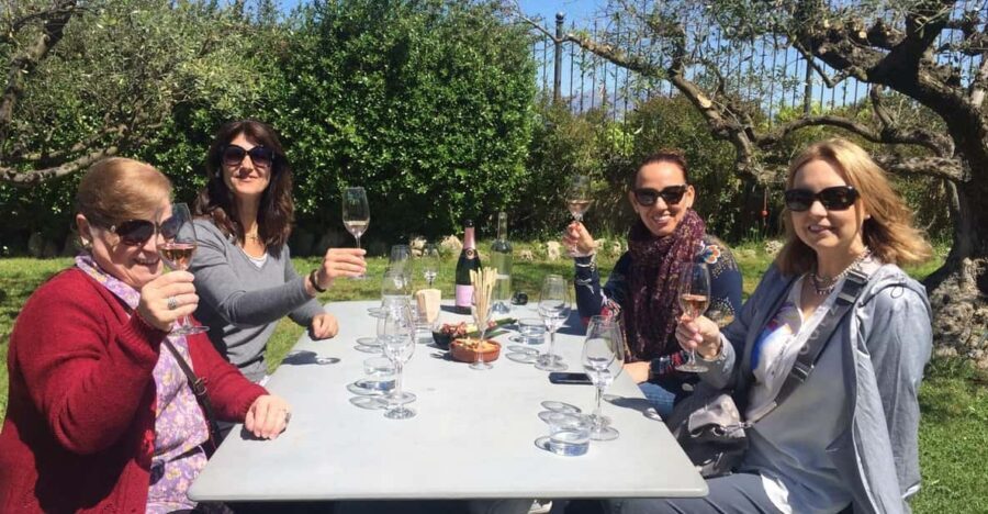 El Penedès: Cava Winery Small Group Tour - What We Loved and What to Consider