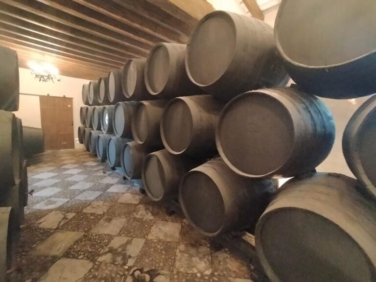 El Puerto de Santa María Winery and Tasting - The Tasting Session: Wines and Pairings