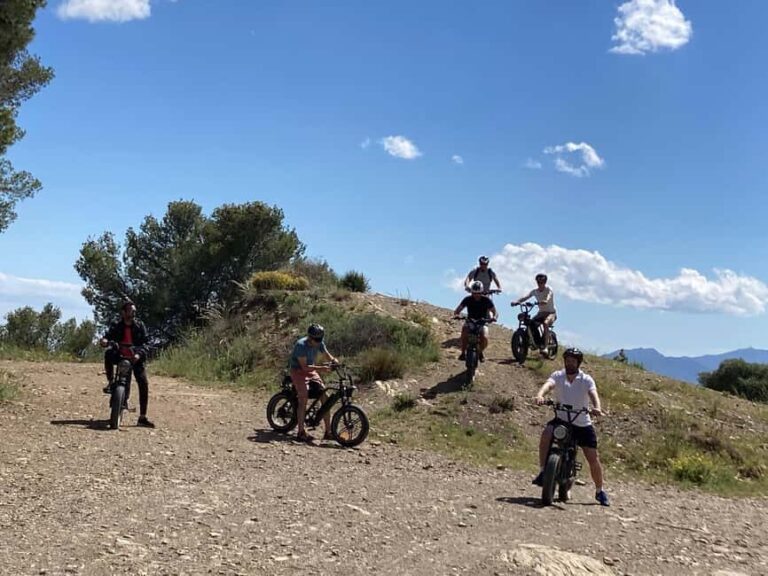 Electric FAT Biking in Montes de Malaga & Countryside - The Value of This Experience