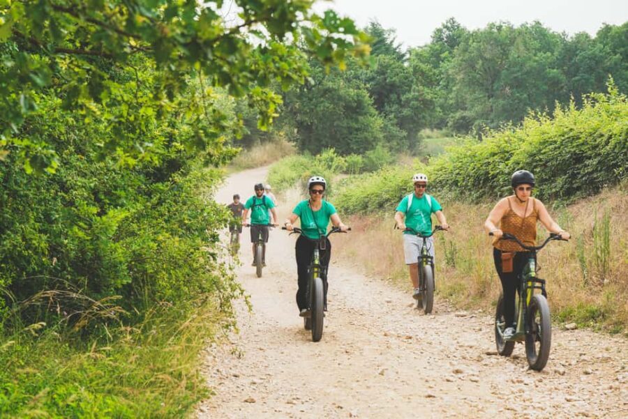 Electric scooter tour and wine tasting at Château de Chamirey - Exploring the Itinerary: What to Expect from Start to Finish