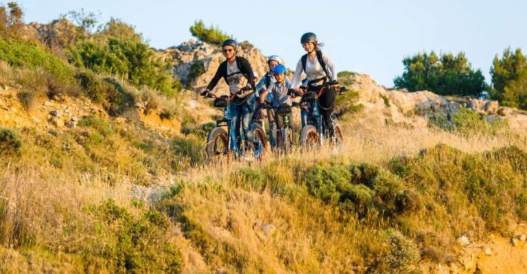 Electric Scooter Tour of our vineyard and Wine Tasting - Practical Details and Tips