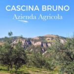 Elice (IT): "The house of snails" and beauty product - Why This Tour Represents Good Value