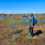 emeri Bogs Adventure: Explore Wetlands In Bog Shoes - Starting Point and Transportation