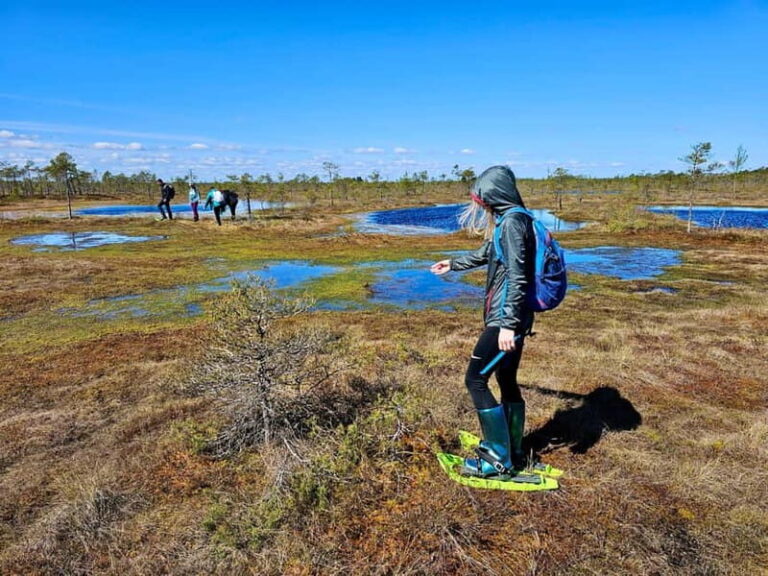 emeri Bogs Adventure: Explore Wetlands In Bog Shoes - Starting Point and Transportation