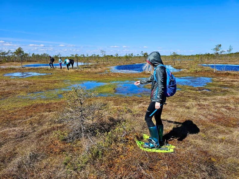 emeri Bogs Adventure: Explore Wetlands In Bog Shoes - Starting Point and Transportation