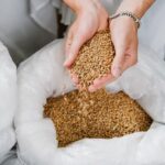 English Guided Brewery Tour in Munich beertasting 4 beers - Who Will Love This Tour?