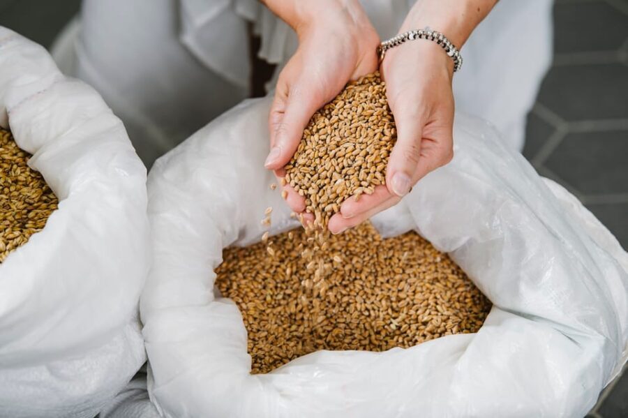 English Guided Brewery Tour in Munich beertasting 4 beers - Who Will Love This Tour?