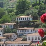 Ephesus and Sirince Tour from Izmir / Kusadasi - The Itinerary in Detail