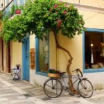 Erasmus student tour in Corinth-Mycenae-Nafplio-Epidaurus - The Day’s Flow and Practical Details