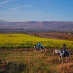 Escape Sofia: horse ride through Bulgaria´s beauty - How the Tour Begins and Transportation