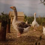 Estate tour and tasting - Who Will Enjoy This Experience?