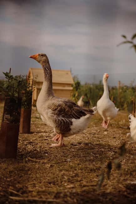 Estate tour and tasting - Who Will Enjoy This Experience?