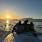 Estepona: Dolphin Searching Sunset Cruise with Drink & Snack - Detailed Breakdown of the Tour