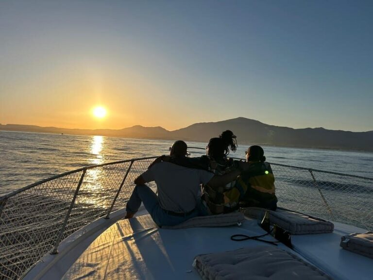 Estepona: Dolphin Searching Sunset Cruise with Drink & Snack - Detailed Breakdown of the Tour