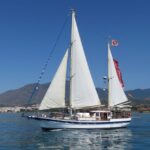 Estepona: Dolphin Watching Sailboat Cruise with Drink - Authentic Feedback from Travelers
