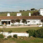 Estremoz, Alentejo, Portugal: Wine tour & Wine tasting - What the Tour Includes and How It’s Structured