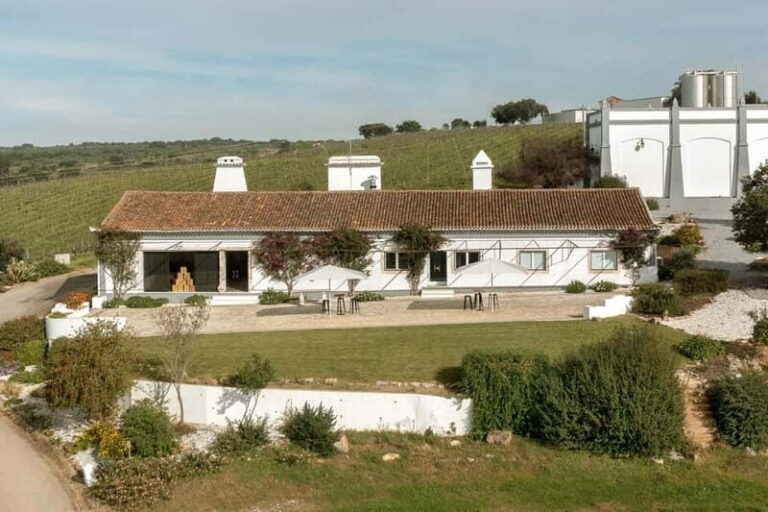 Estremoz, Alentejo, Portugal: Wine tour & Wine tasting - What the Tour Includes and How It’s Structured