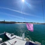 Evening 2-hour cruise in Lorient harbor - Who Will Love This Experience?