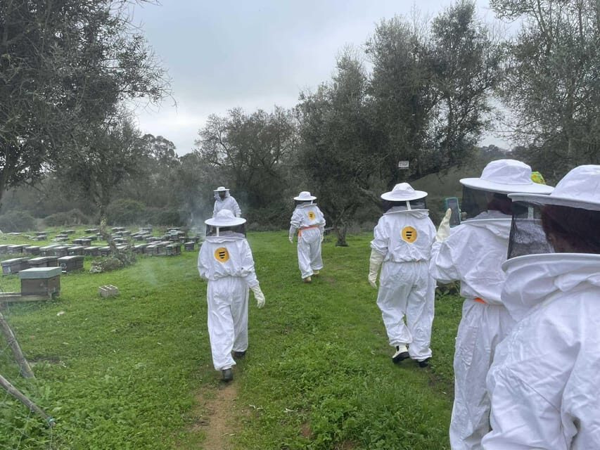 Évora or Montemor: Beekeeping, Chocolate factory, Wine tasting - Who Will Love This Tour?