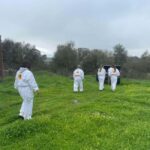 Évora or Montemor: Beekeeping Guided Tour with Honey Tasting - Why This Tour Might Be Perfect for You