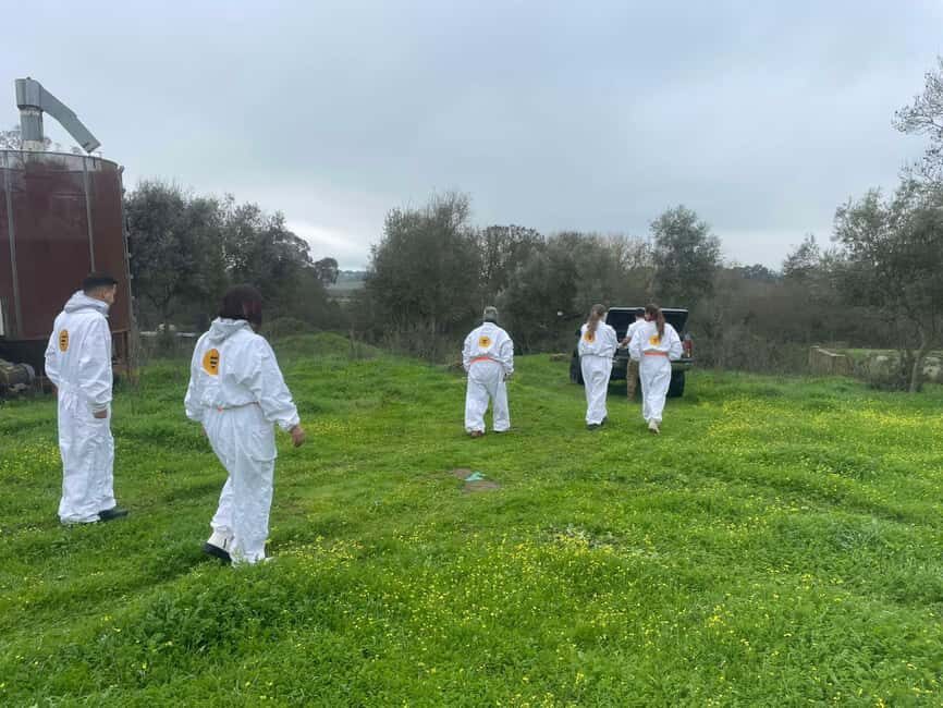 Évora or Montemor: Beekeeping Guided Tour with Honey Tasting - Why This Tour Might Be Perfect for You