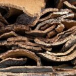 Evora, Winery & Cork Factory: Full-day Private Transport - Why This Tour is a Great Choice