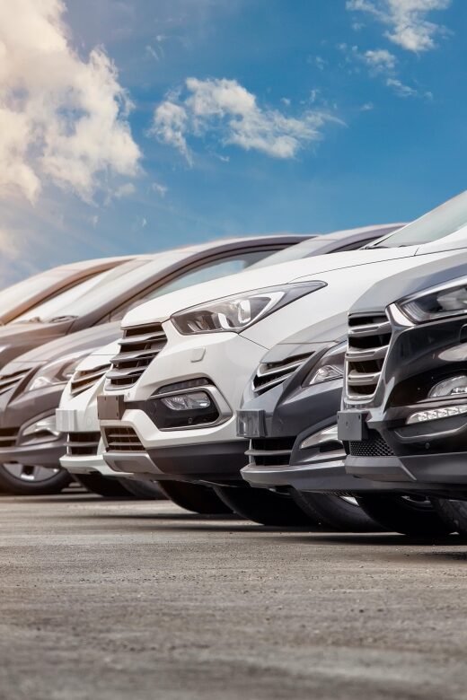 Exclusive: Private 6-Hour Blenheim Palace Tour. - Exploring Blenheim Palace: What to Expect