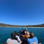 Excursion bateau - A Closer Look at the Itinerary