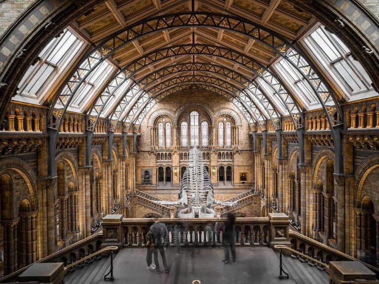 Explore History: British Museum's Rosetta, Mummies & More - Practical Details and Logistics