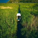 Explore Skadar Lake: Exclusive Guided Boat Falcon Tour! - Wildlife & Birdwatching: What You’ll See