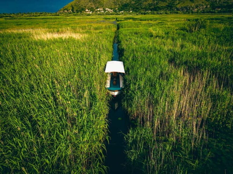 Explore Skadar Lake: Exclusive Guided Boat Falcon Tour! - Wildlife & Birdwatching: What You’ll See