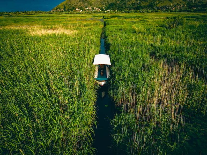 Explore Skadar Lake: Exclusive Guided Boat Falcon Tour! - Wildlife & Birdwatching: What You’ll See