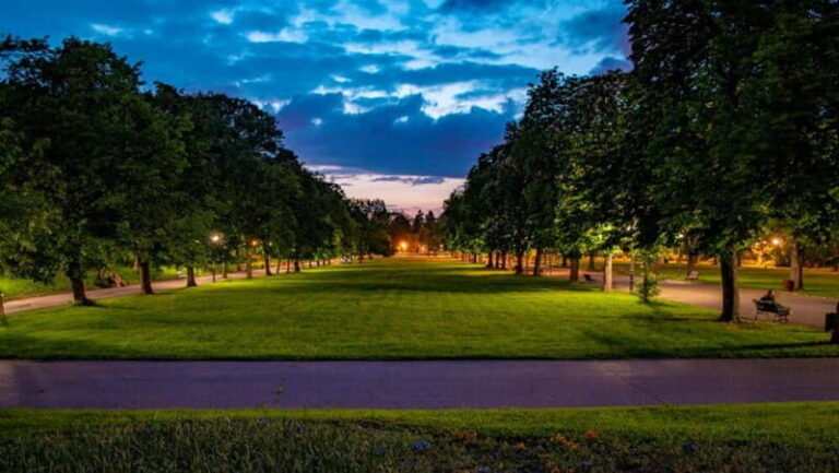 Exploring Sofias Garden Wonders - Discovering Sofia’s Fanciest Street