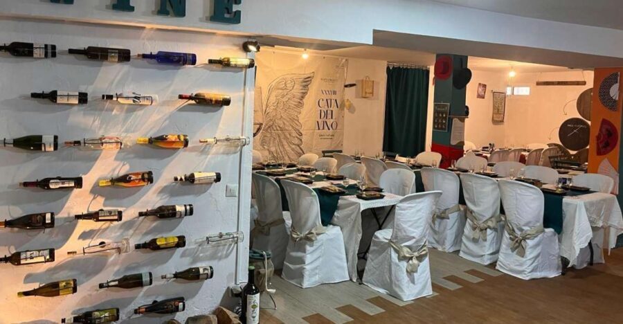 Extra Virgin Olive oil tasting - Why This Tour Delivers Real Value