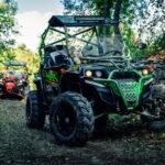 Faana: Guided Buggy Tour in the Heart of Istria - Authentic Experiences and Honest Insights from Reviews
