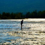 Færvik: Raet National Park SUP (Stand up Paddleboard) Tour - Who Will Love This Tour?